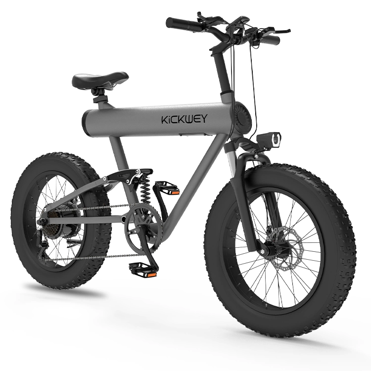 Manufacturer New Design Fat Tire Ebike with 10ah 48V 500W E-Bike