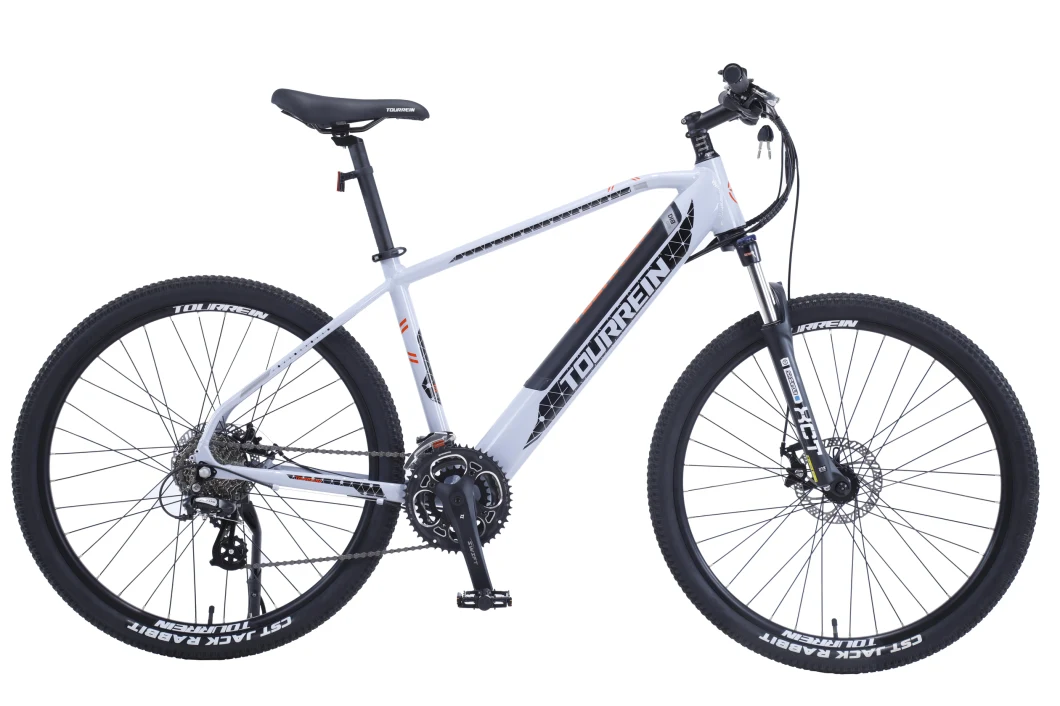 Hidden Battery Mountain Electric Bicycle 250W 350W Electric Bike