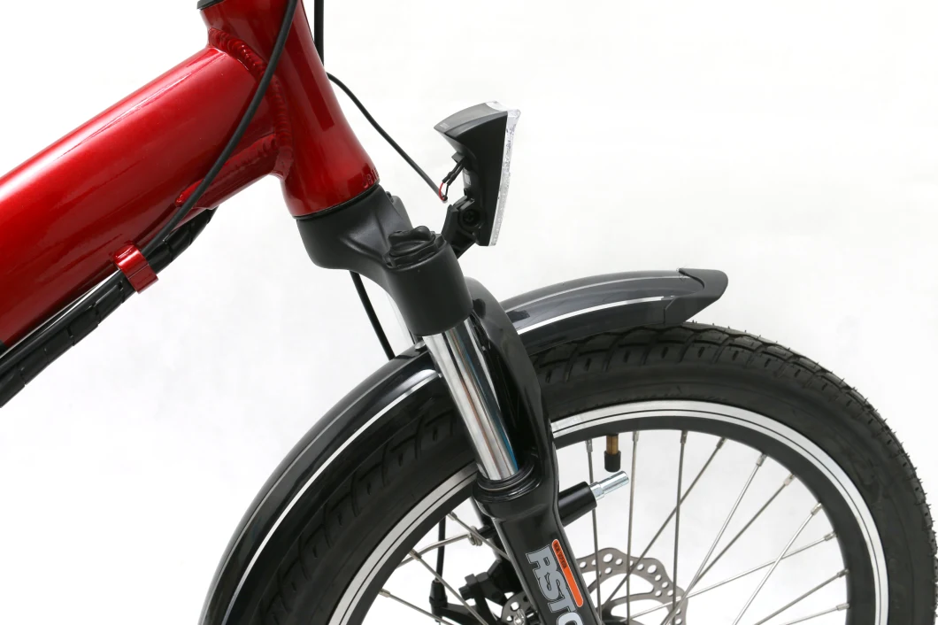 Electric City Folding Bicycle with 36V 250W Motor Warehouse in Europe