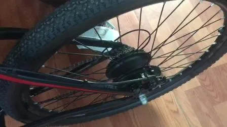 中国工場 350W 29er OEM 電動自転車ブラシレス モーター自転車