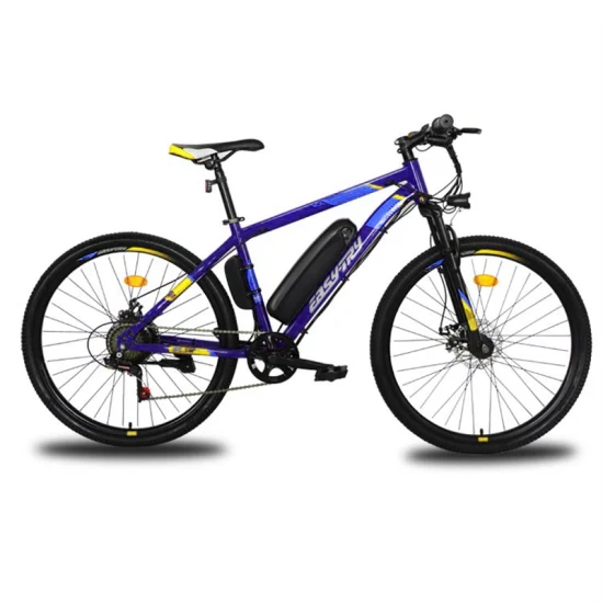 高品質の中国電動自転車メーカー、10Ah 36V/48V カスタマイズ電動自転車、250W/350W/500W 電動自転車