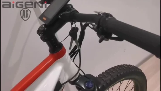 27.5 インチカスタマイズされたサスペンション電動自転車 MTB 電動自転車